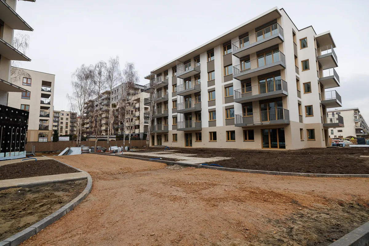 grudzień 2025